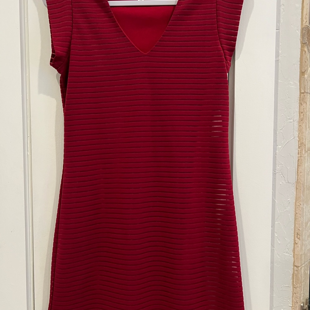 Alice Blue Deep Red Textured Mini Dress